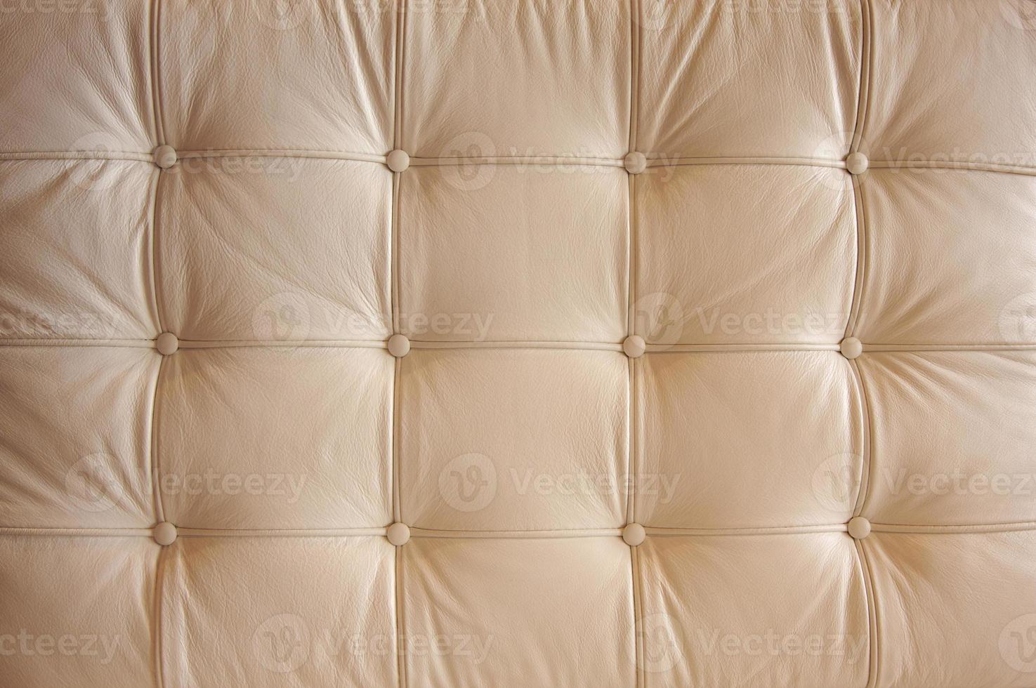 Comfortable Buttoned Leather Pattern photo