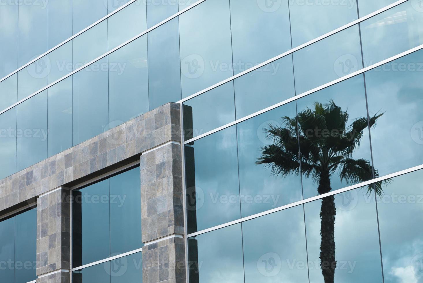 edificio corporativo abstracto con reflejo de palmera foto