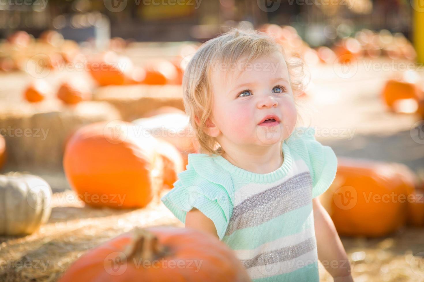 Adorable Baby Girl Having Fun in a Rustic Ranch Setting at the Pumpkin Patch. photo