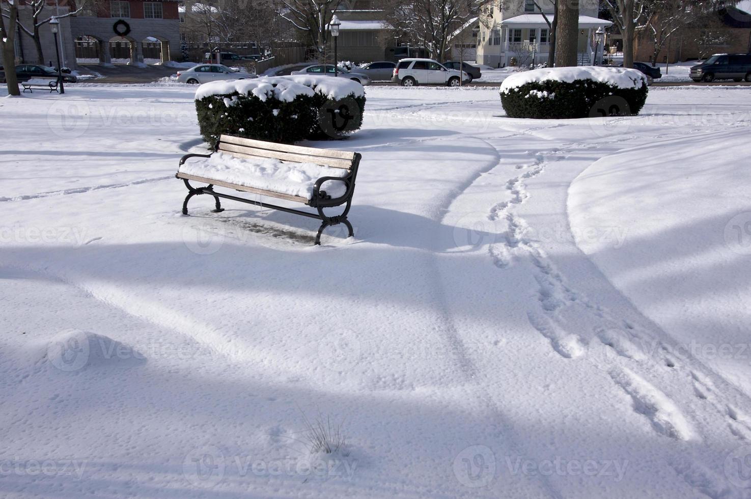 Empty Snowy Bench photo