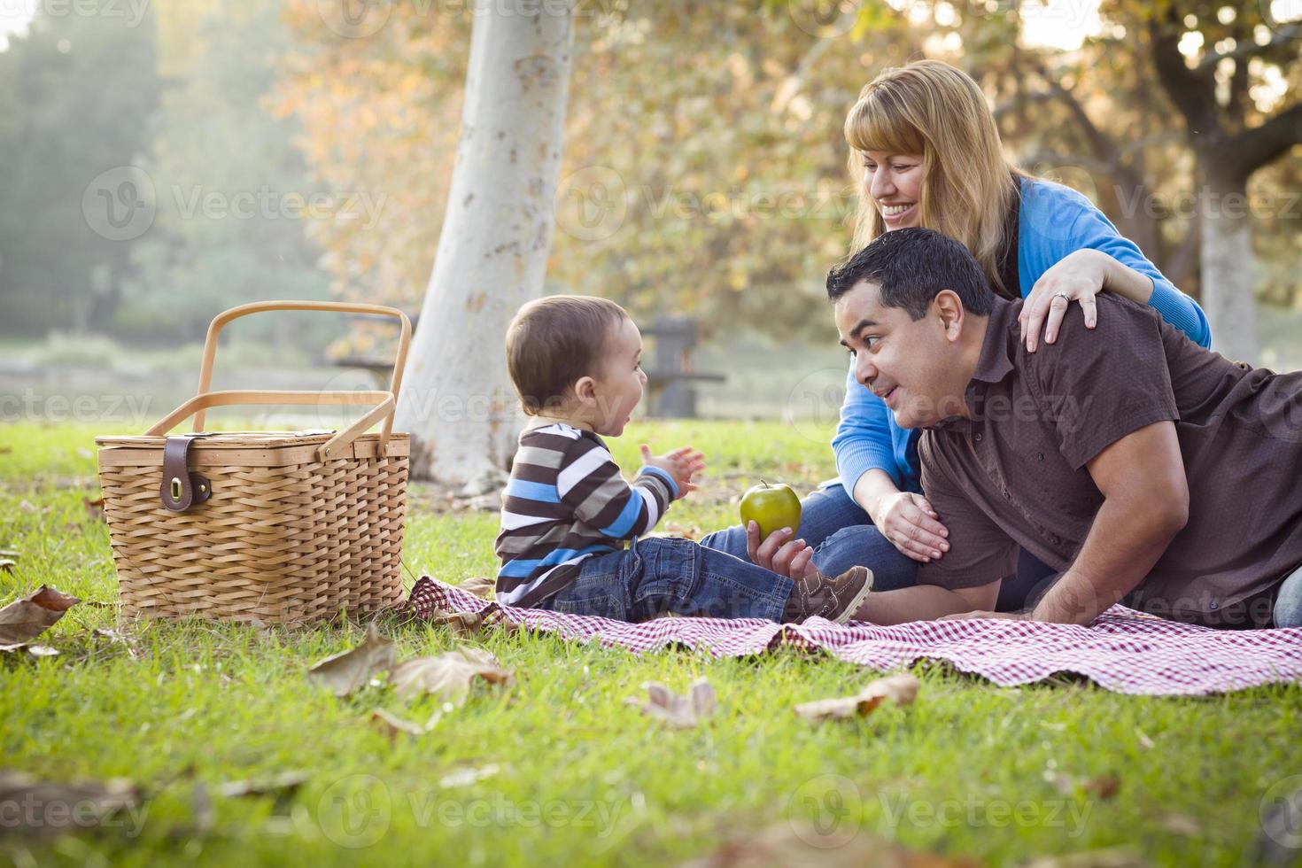 Happy Mixed Race Ethnic Family Having Picnic In The Park photo