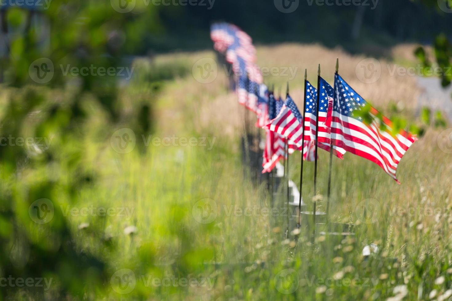 fila de banderas americanas en la cerca foto