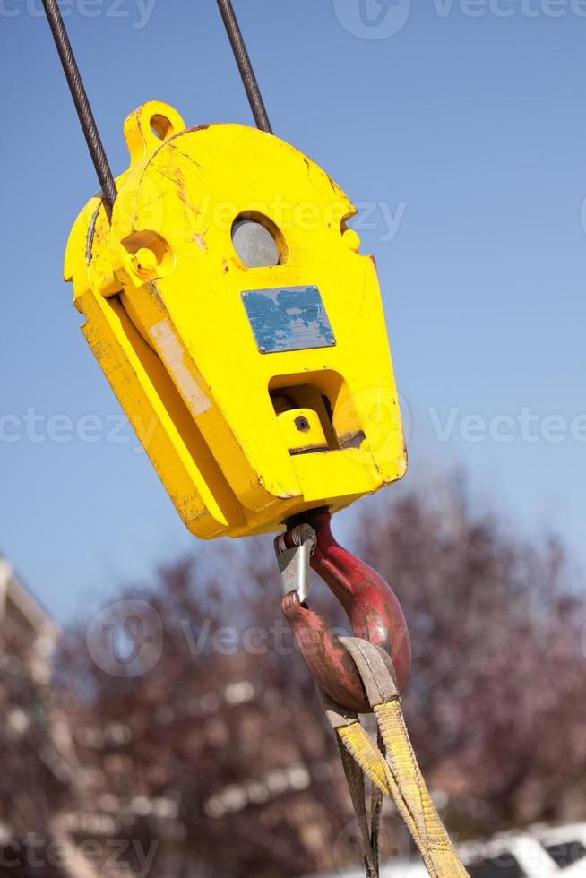 Yellow Crane Head with Red Hook photo