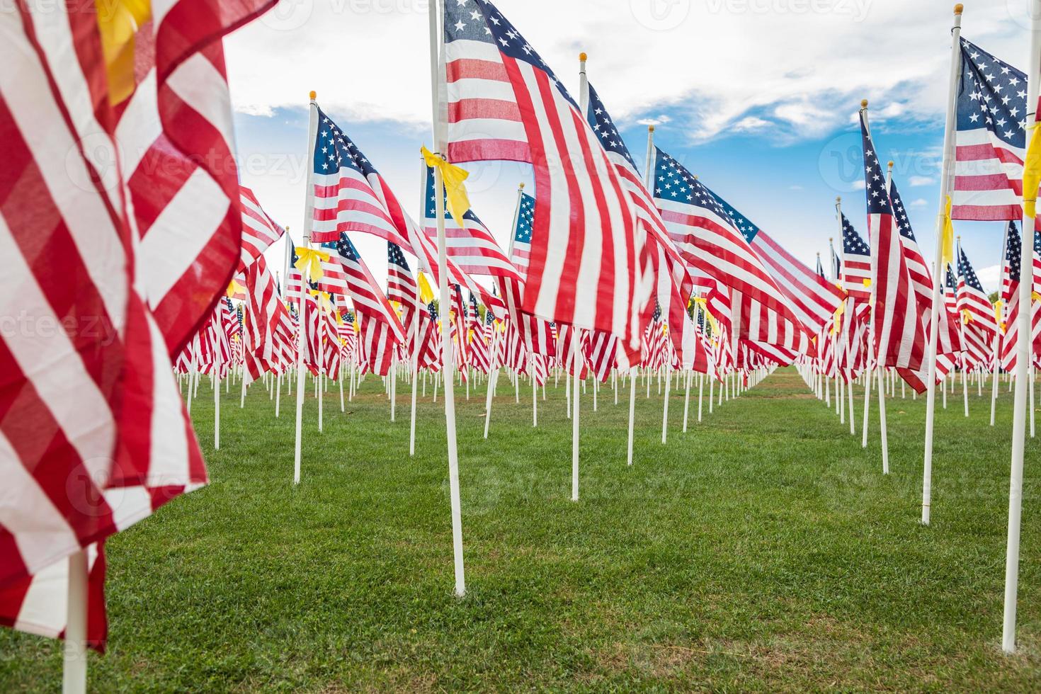 campo de banderas americanas del día de los veteranos ondeando en la brisa. foto