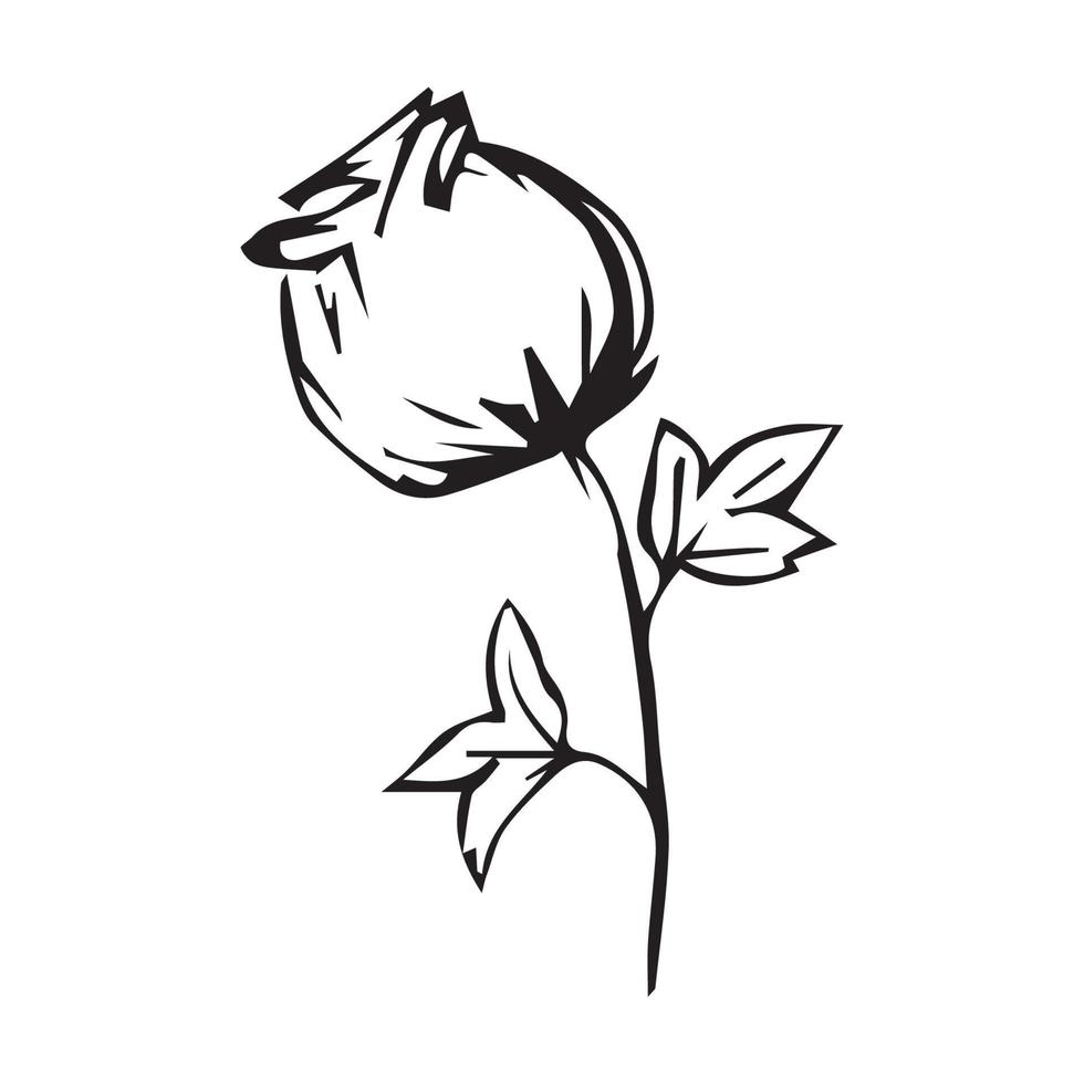 Hand drawn flowers for decoration. Line art Hand drawn flowers in vintage style vector