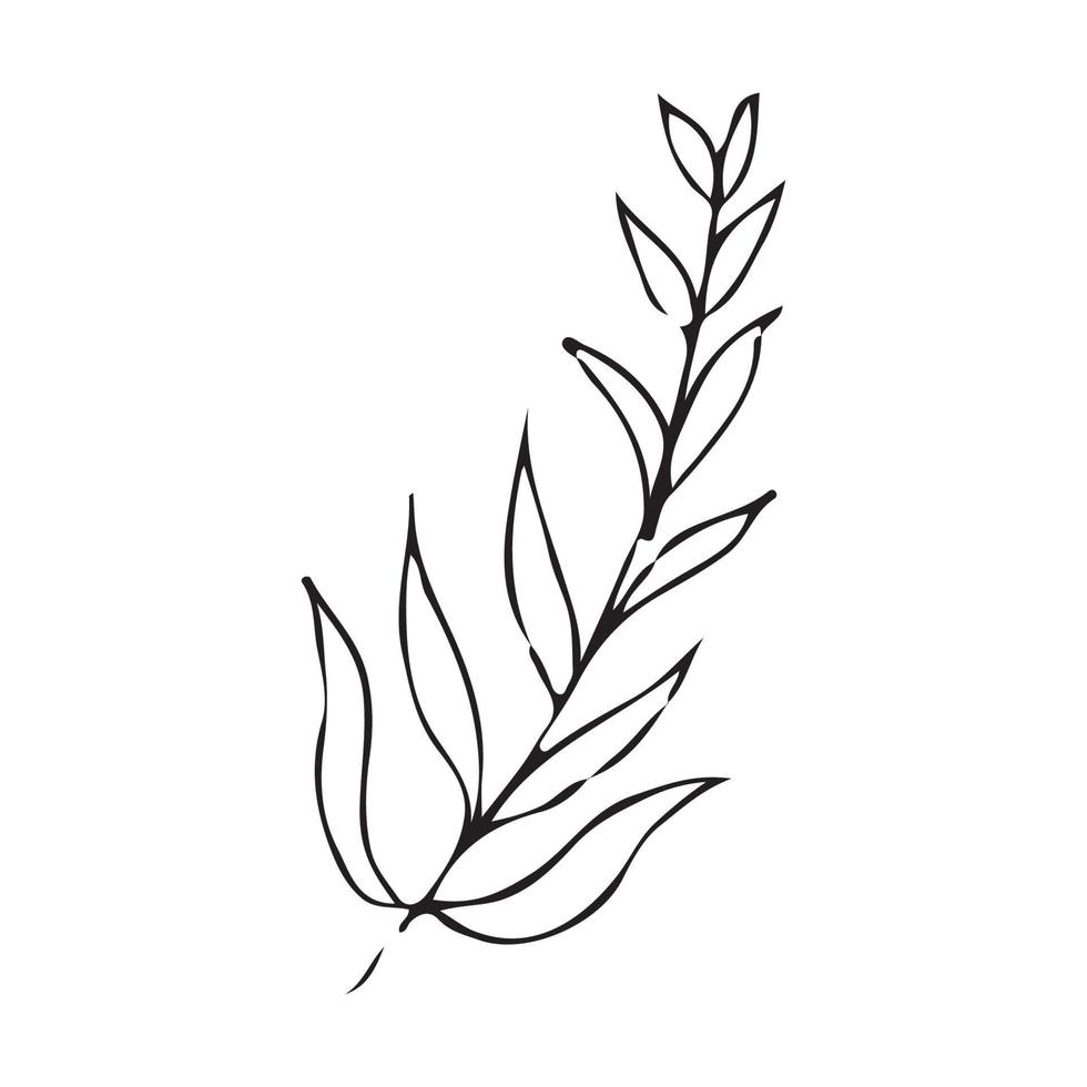 Hand drawn flowers for decoration. Line art Hand drawn flowers in vintage style vector
