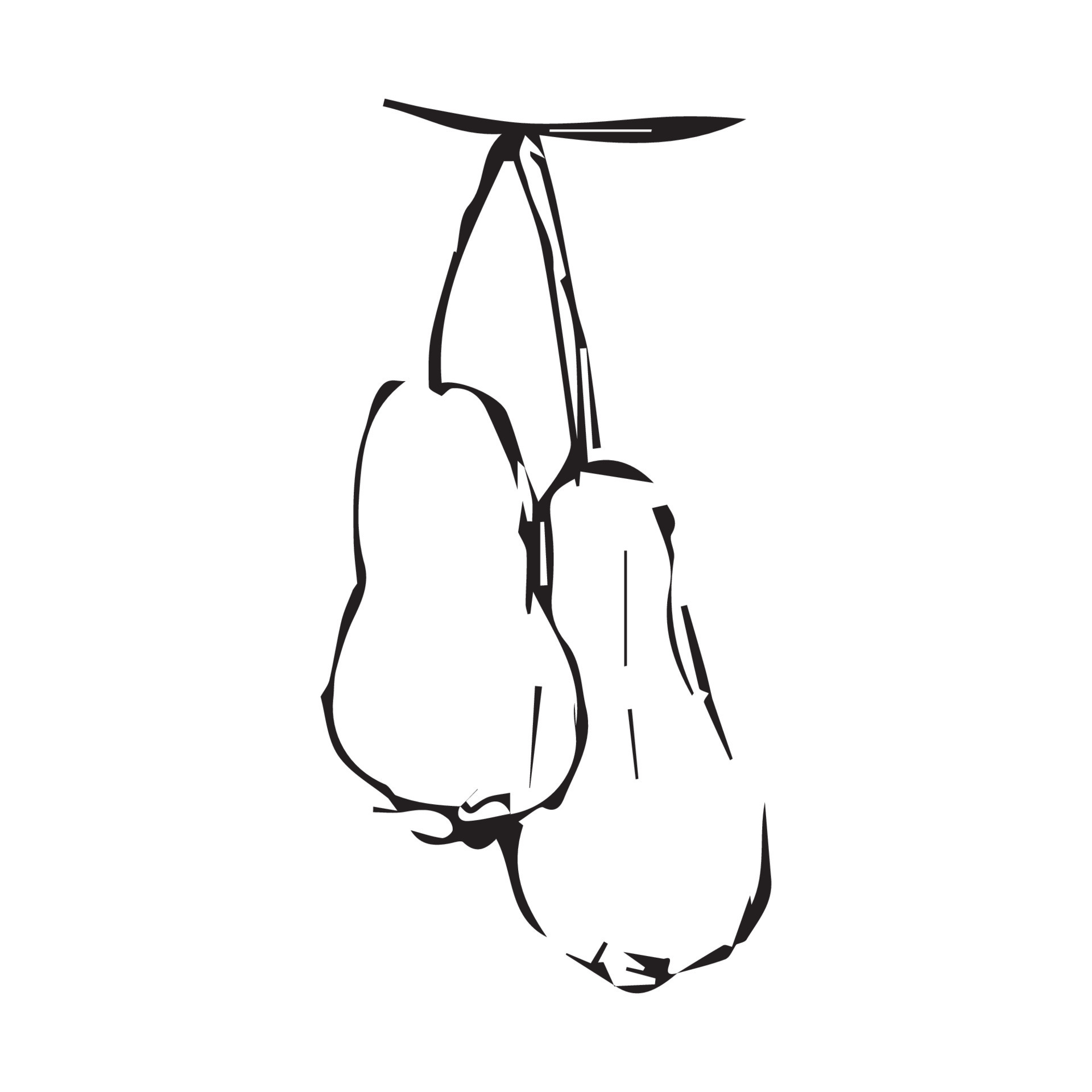 Papaya hand drawing. papaya vector illustration for design with line