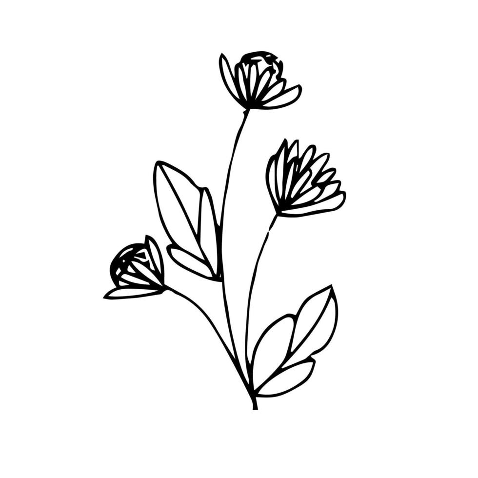 Minimalistic hand drawn flower vector. Illustration of flowers for ...