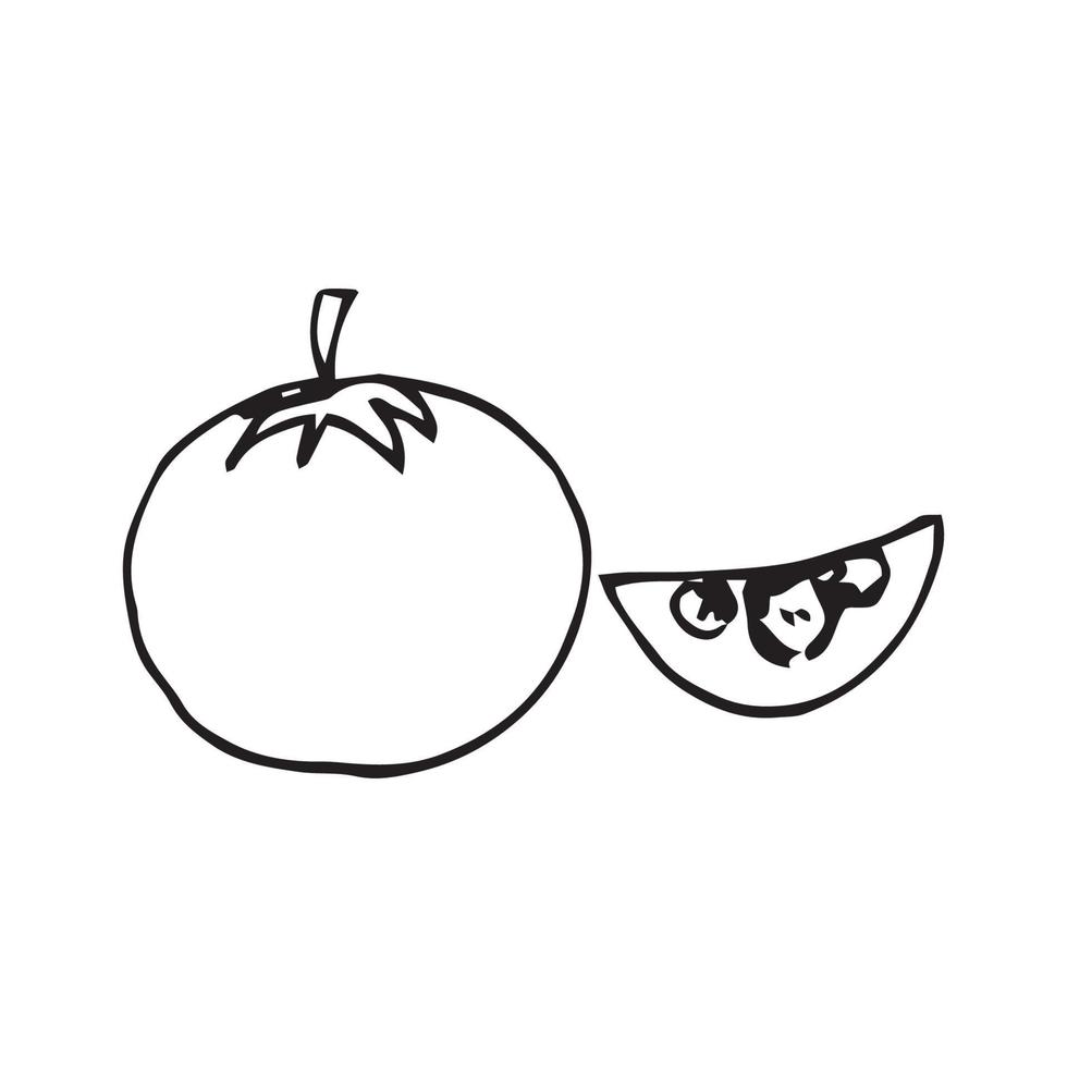 Hand drawn mangosteen. mangosteen vector illustration for design with line style