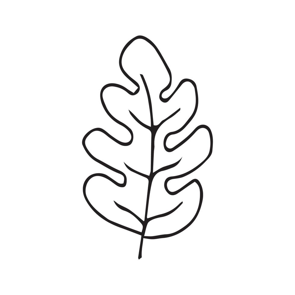 Hand drawn flowers for decoration. Line art Hand drawn flowers in vintage style vector
