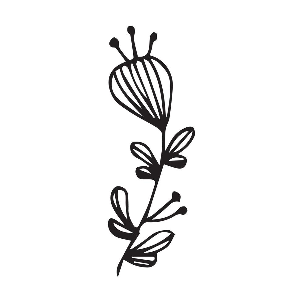 Hand drawn flowers for decoration. Line art Hand drawn flowers in vintage style vector