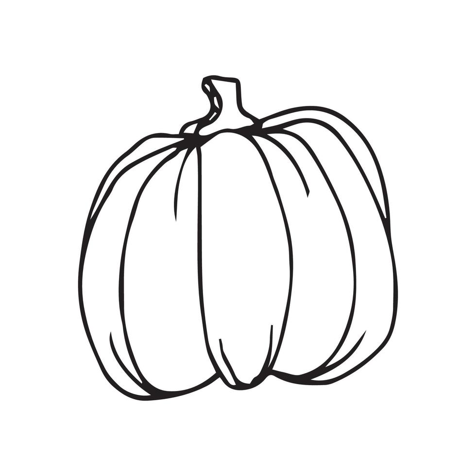 Hand drawn pumpkin. pumpkin vector illustration for design with line style