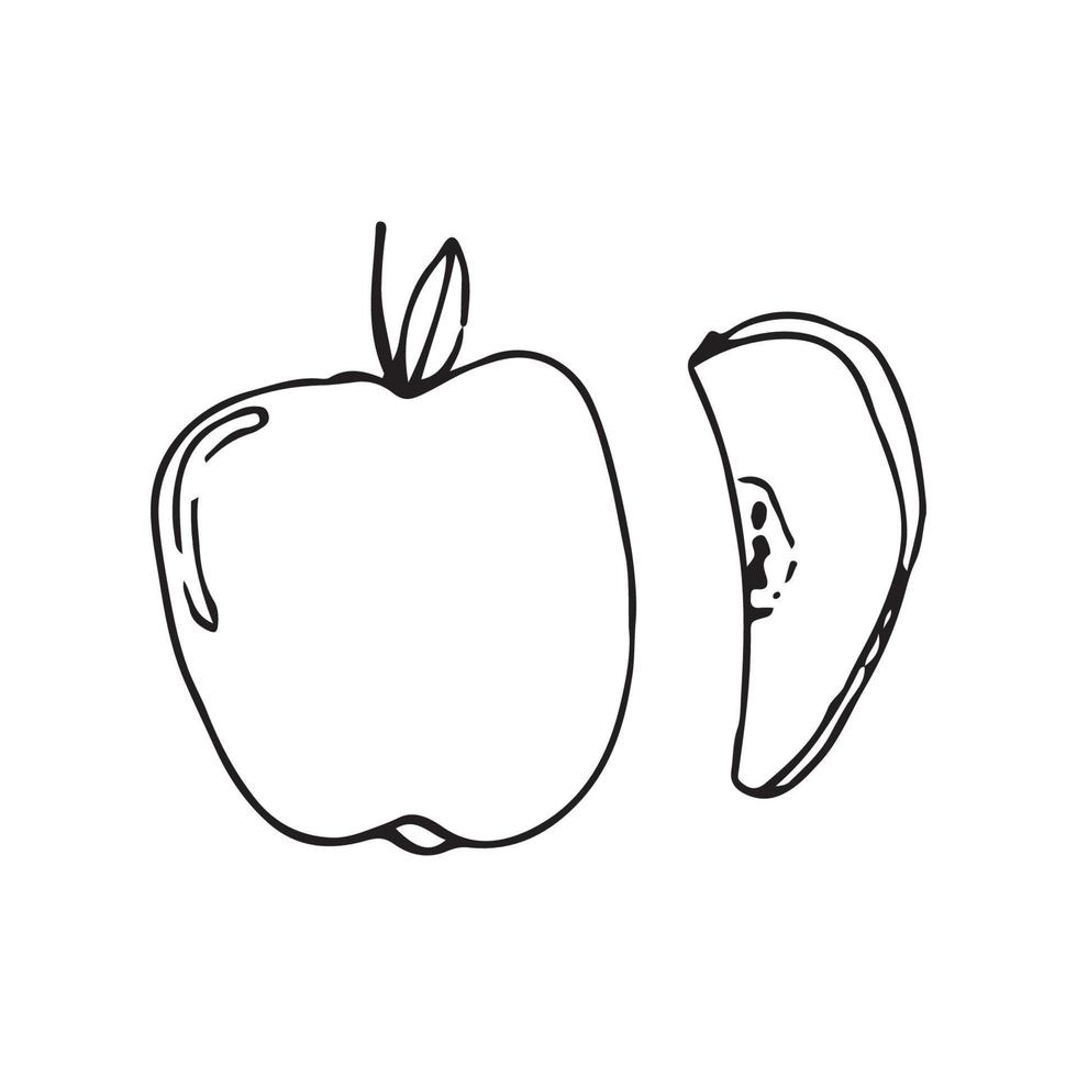 manzana dibujada a mano. ilustración de vector de manzana para diseño con estilo de línea