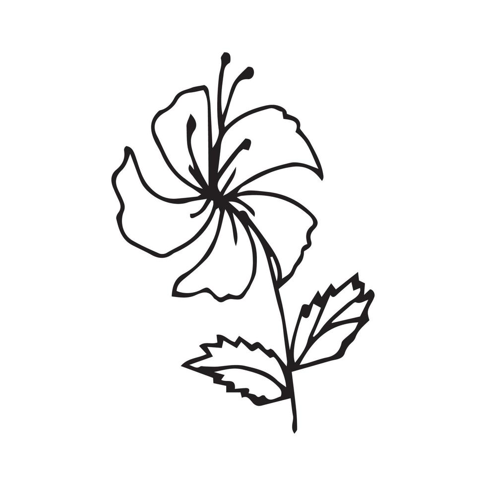 Hand drawn flowers for decoration. Line art Hand drawn flowers in vintage style vector