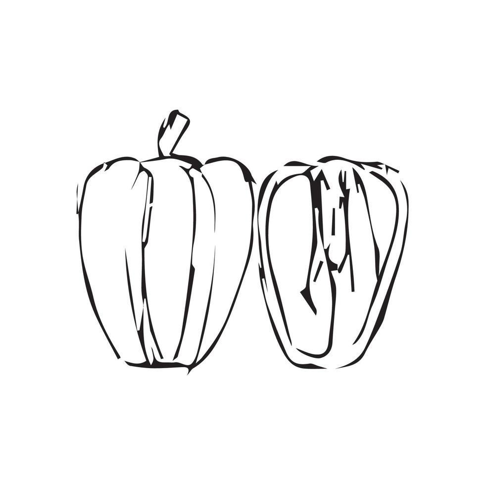 calabaza dibujada a mano. ilustración de vector de calabaza para diseño con estilo de línea