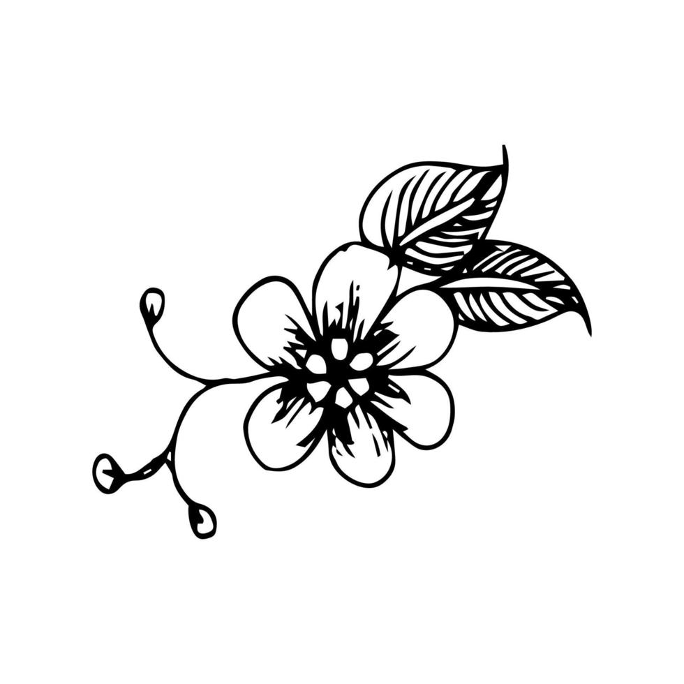 flores vectoriales minimalistas dibujadas a mano. ilustración de invitación floral y decoración en estilo retro vector