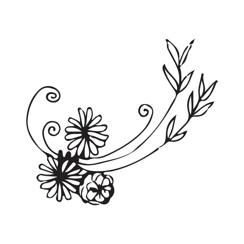 Hand drawn flowers for decoration. Line art Hand drawn flowers in vintage style vector