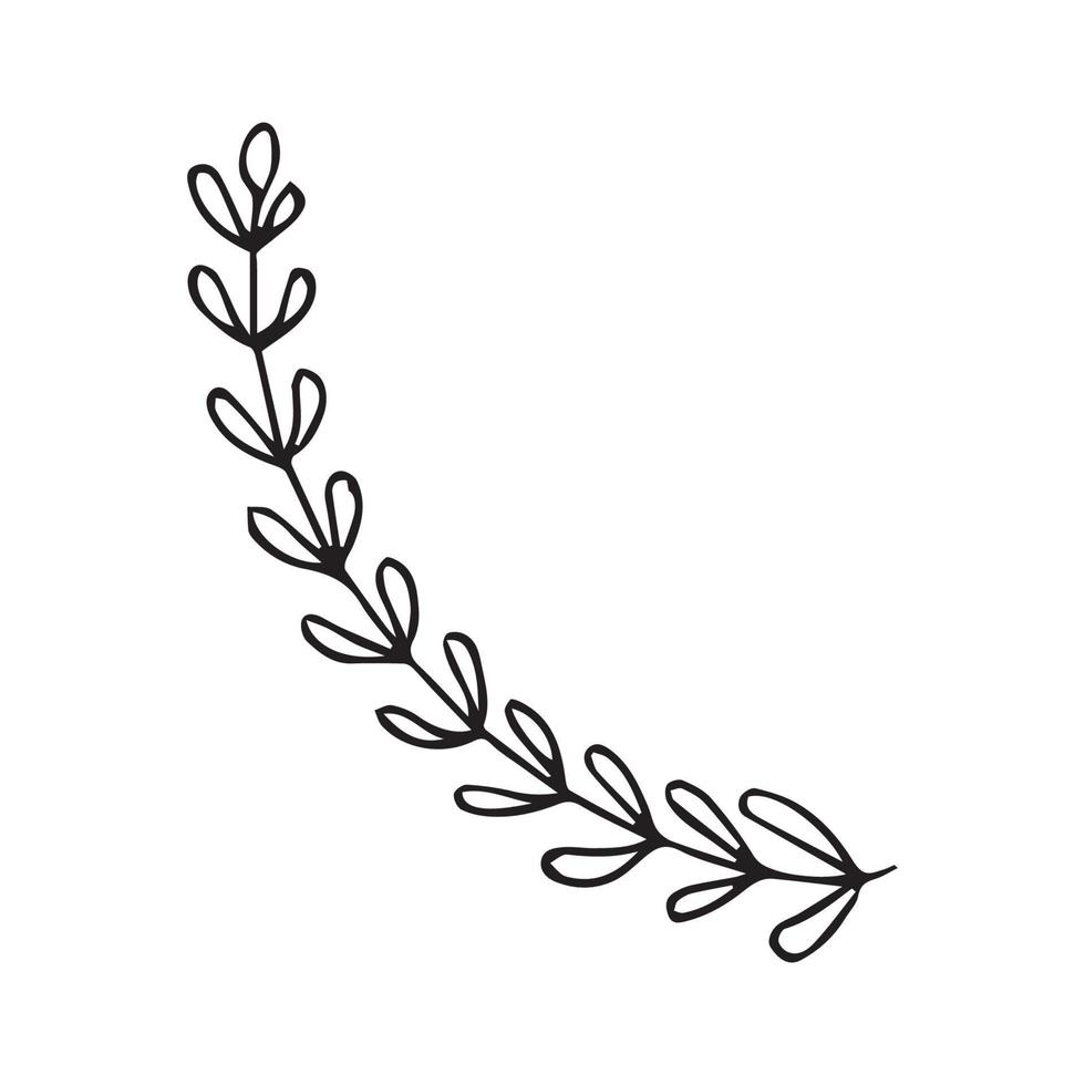 Hand drawn flowers for decoration. Line art Hand drawn flowers in vintage style vector