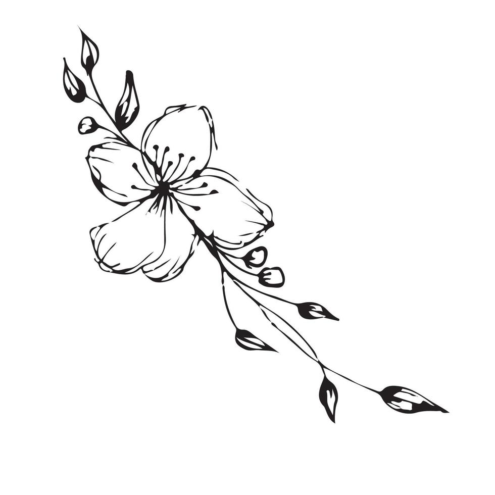 Hand drawn flowers for decoration. Line art Hand drawn flowers in vintage style vector