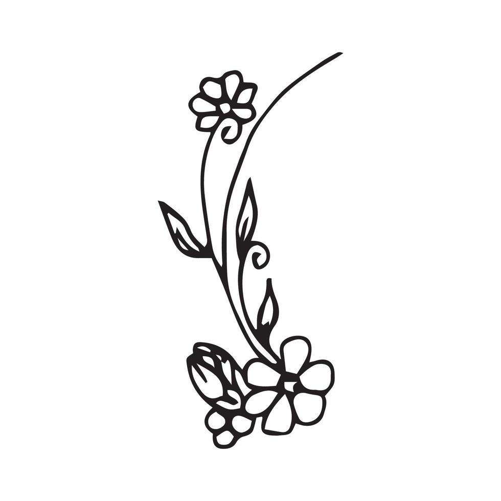 Hand drawn flowers for decoration. Line art Hand drawn flowers in vintage style vector
