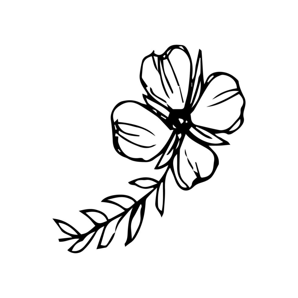 Vector minimalistic hand drawn flowers. Illustration of floral invitation and decoration in retro style