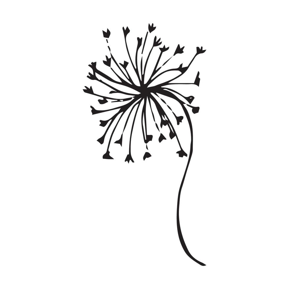 Hand drawn flowers for decoration. Line art Hand drawn flowers in vintage style vector