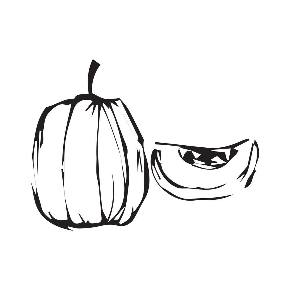 Hand drawn pumpkin. pumpkin vector illustration for design with line style
