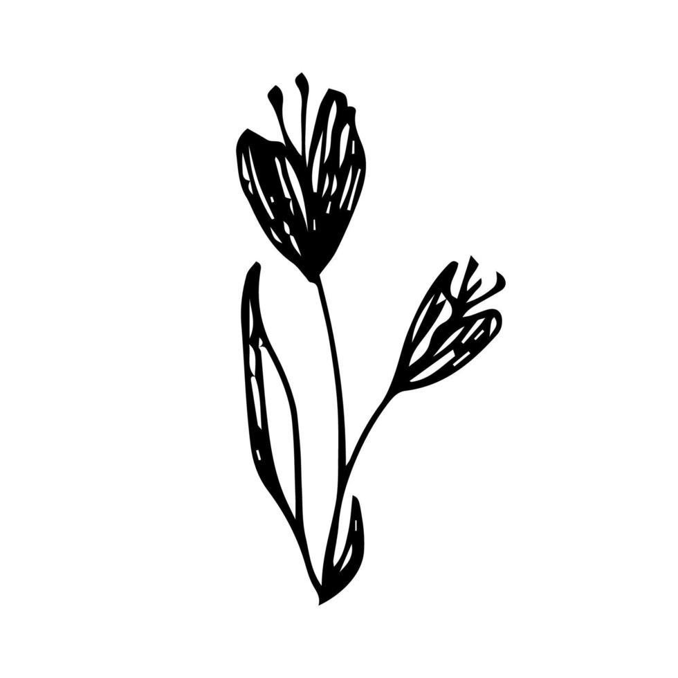 Minimalist Flower Vector. Illustration of floral invitation in retro style vector