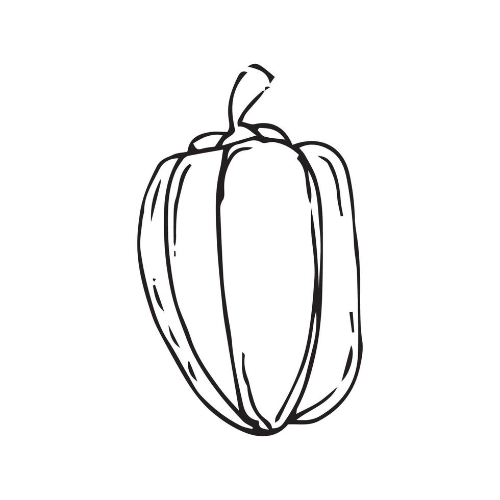 calabaza dibujada a mano. ilustración de vector de calabaza para diseño con estilo de línea