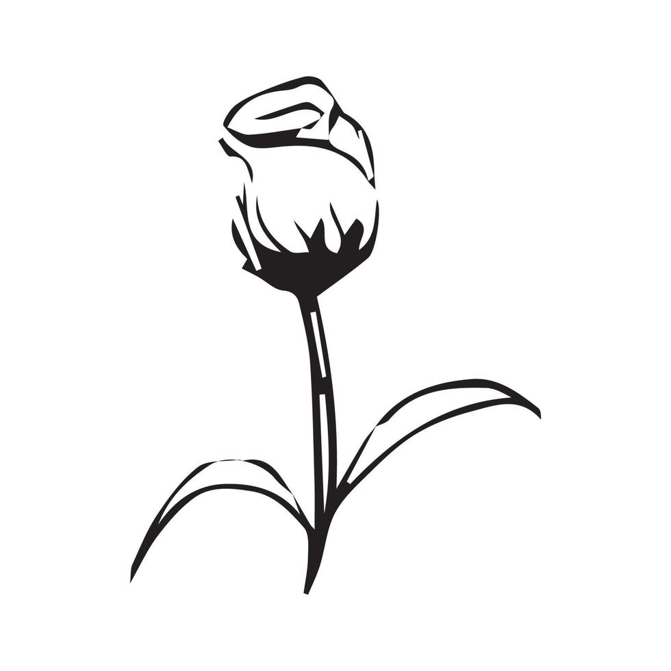 Hand drawn flowers for decoration. Line art Hand drawn flowers in vintage style vector