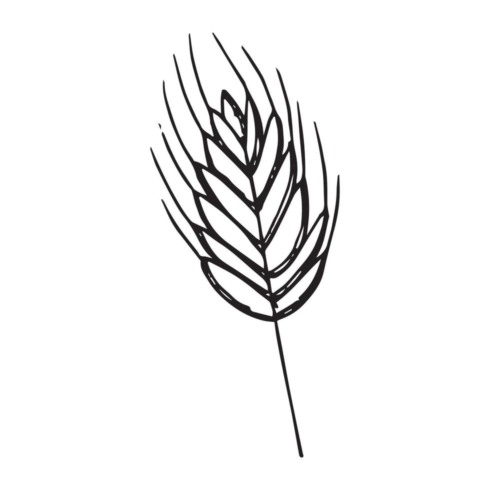 Hand drawn flowers for decoration. Line art Hand drawn flowers in vintage style vector