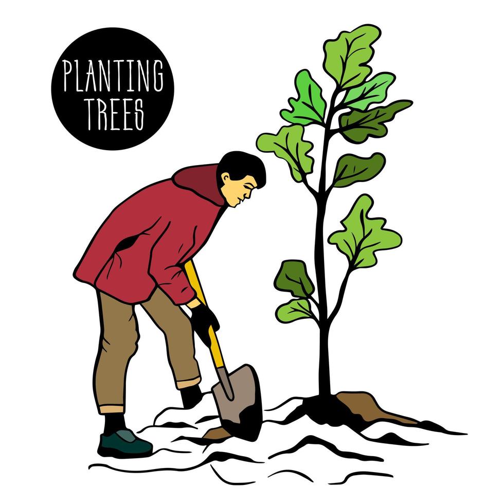 young man, volunteer with shovel digs hole, plants  young tree, shrub. Saving the planet, greening the city vector