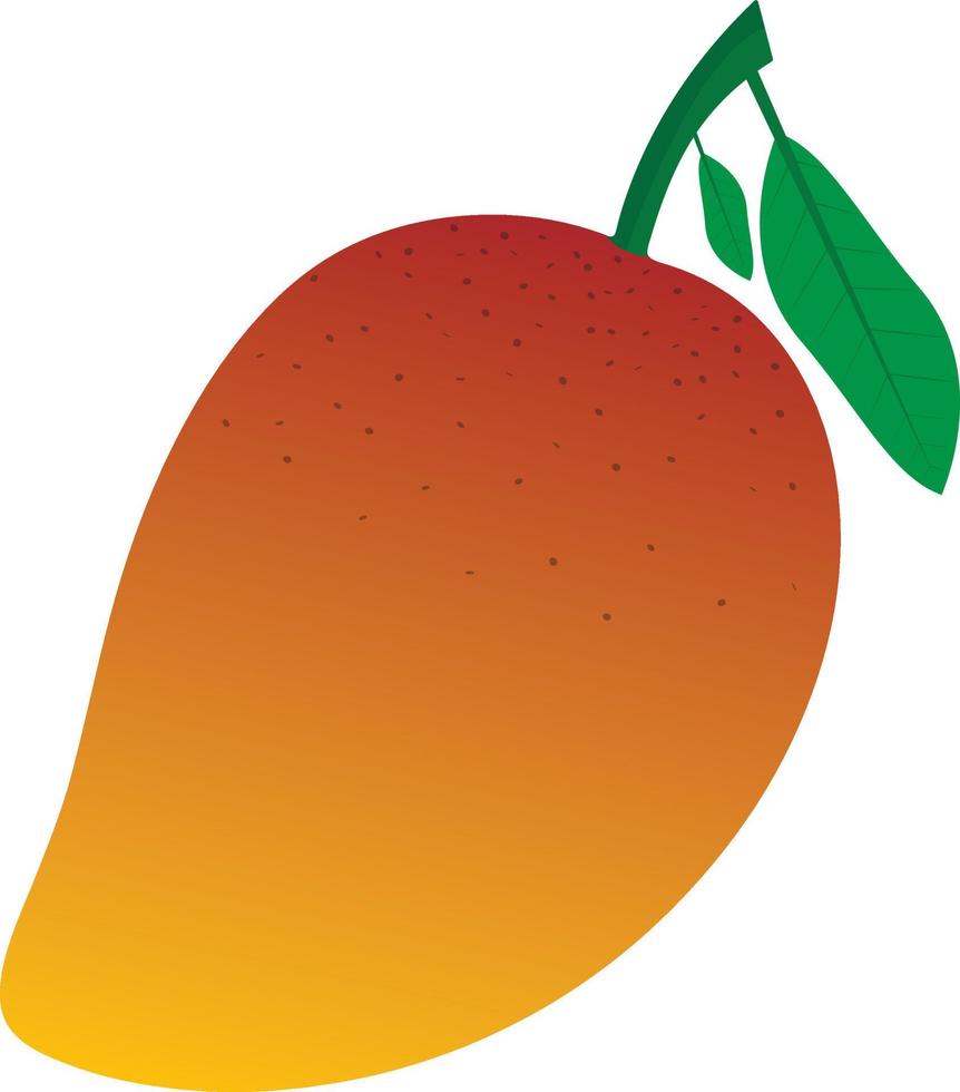 arte vectorial de mango vector