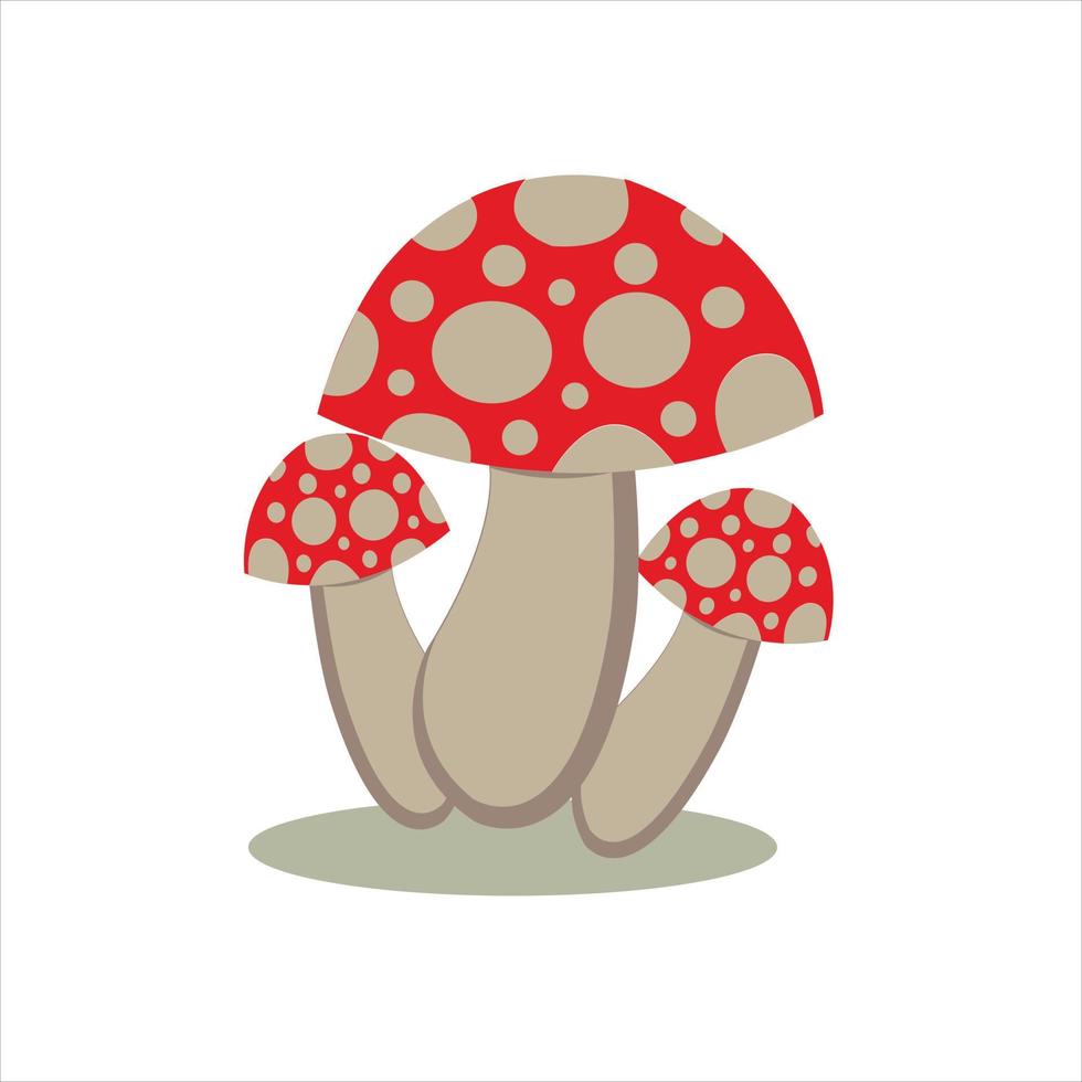 vector mushroom illustration cartoon drawing