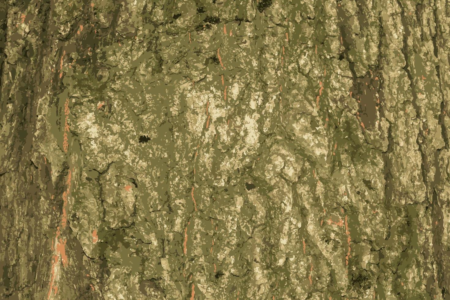 Realistic vector illustration of oak bark close up. The texture of the trunk of the Quercus petraea oak or Georgian oak. Background from living wood. Skin of the forest nature.