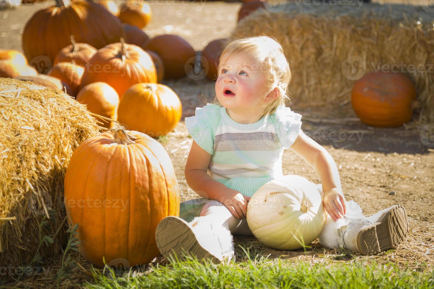 adorable niña divirtiéndose en un rancho rústico en el huerto de calabazas. foto