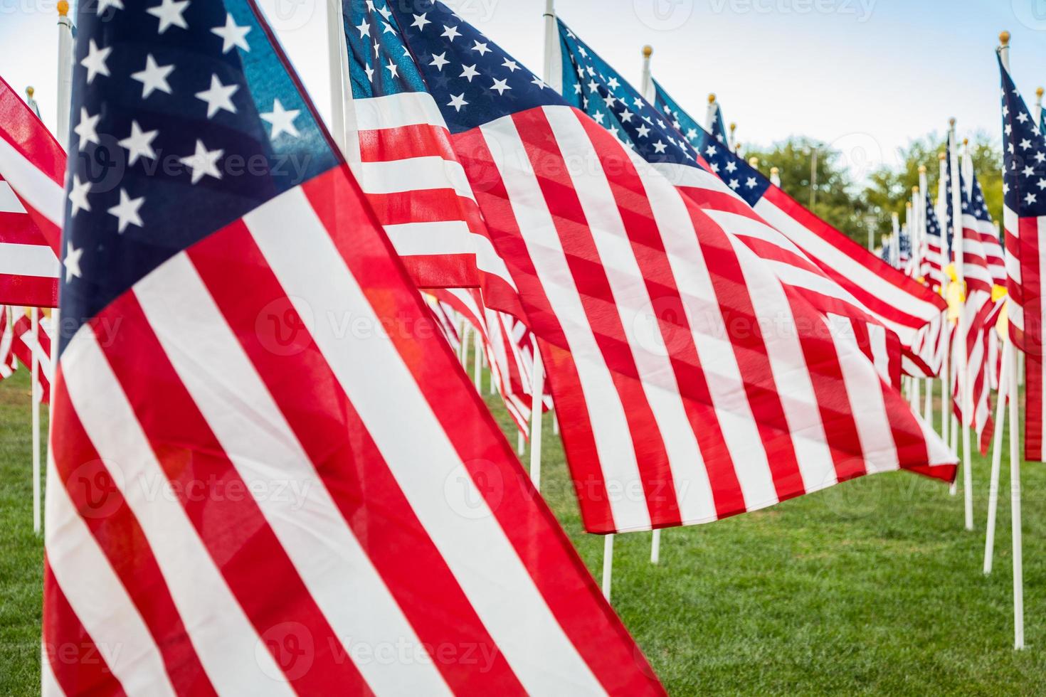 campo de banderas americanas del día de los veteranos ondeando en la brisa. foto