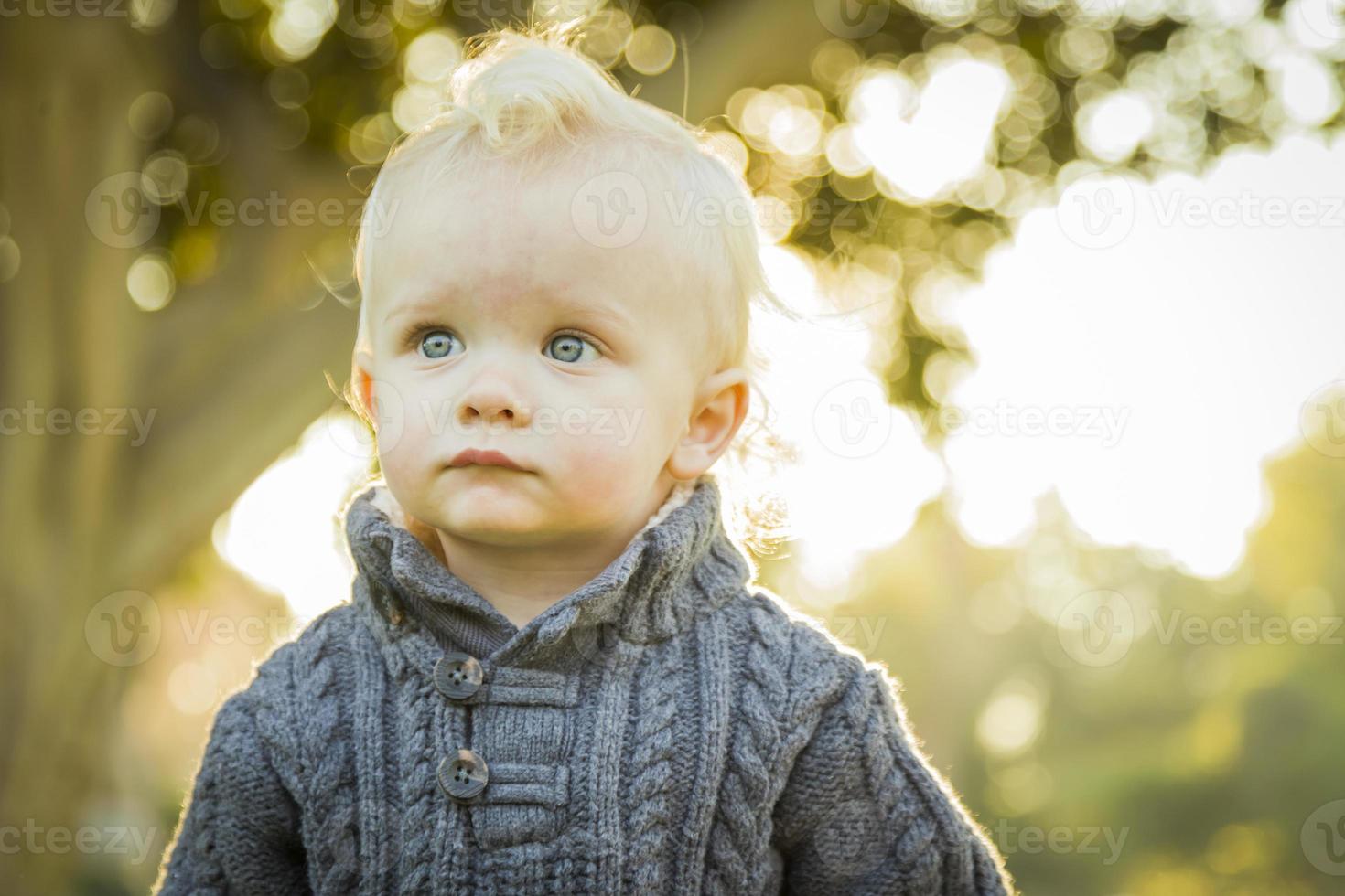 Adorable Blonde Baby Boy Outdoors at the Park photo