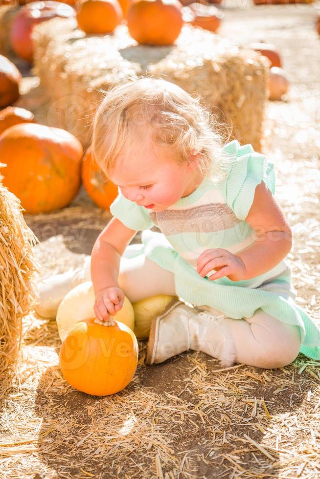 Adorable Baby Girl Having Fun in a Rustic Ranch Setting at the Pumpkin Patch. photo