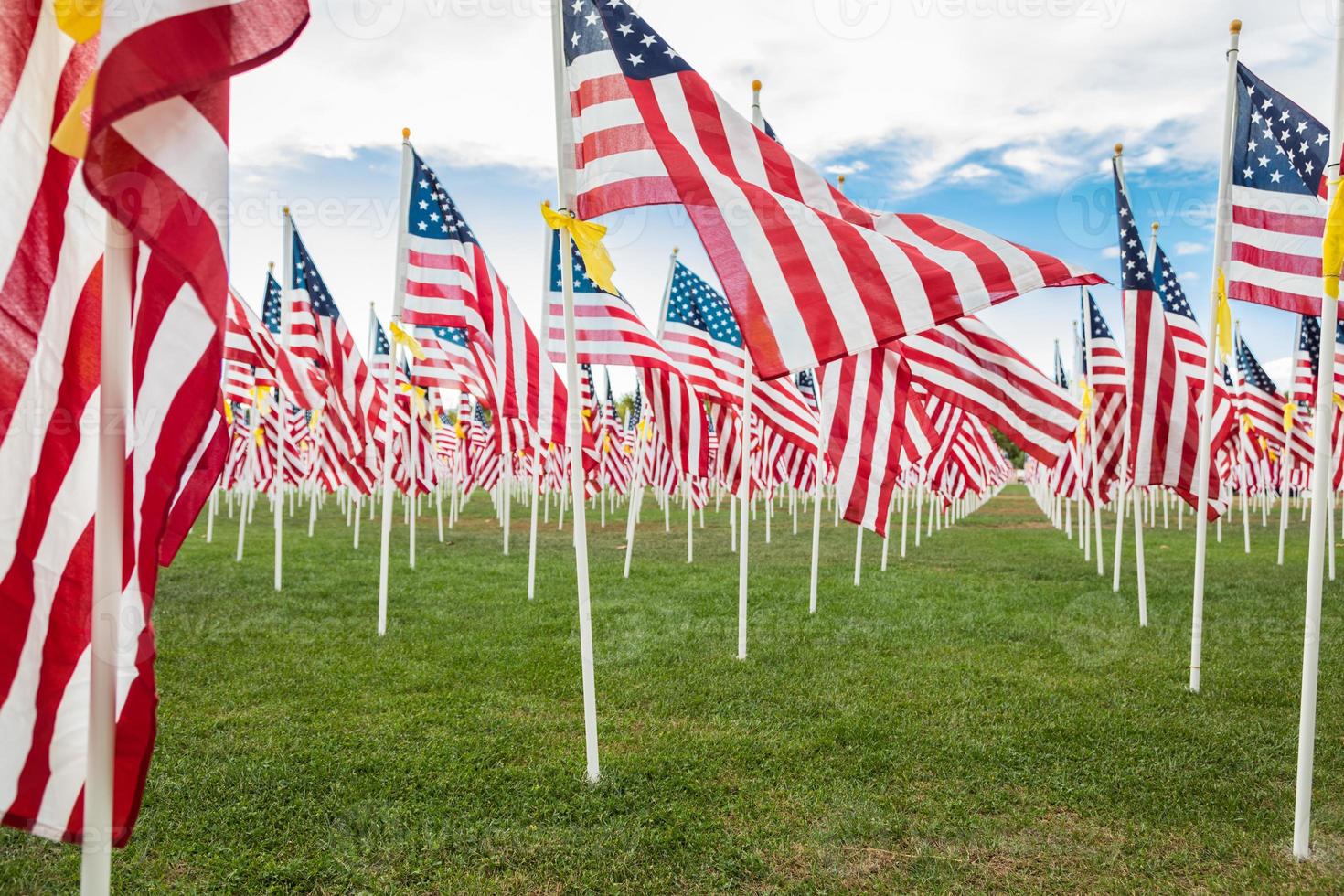 campo de banderas americanas del día de los veteranos ondeando en la brisa. foto