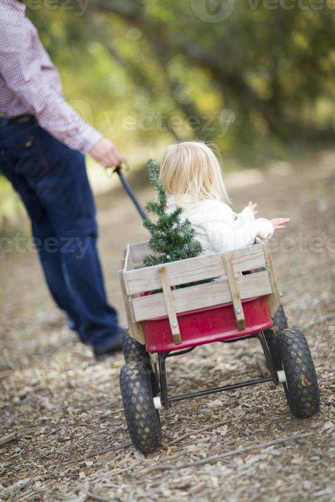 padre tira a niña en vagón con árbol de navidad foto