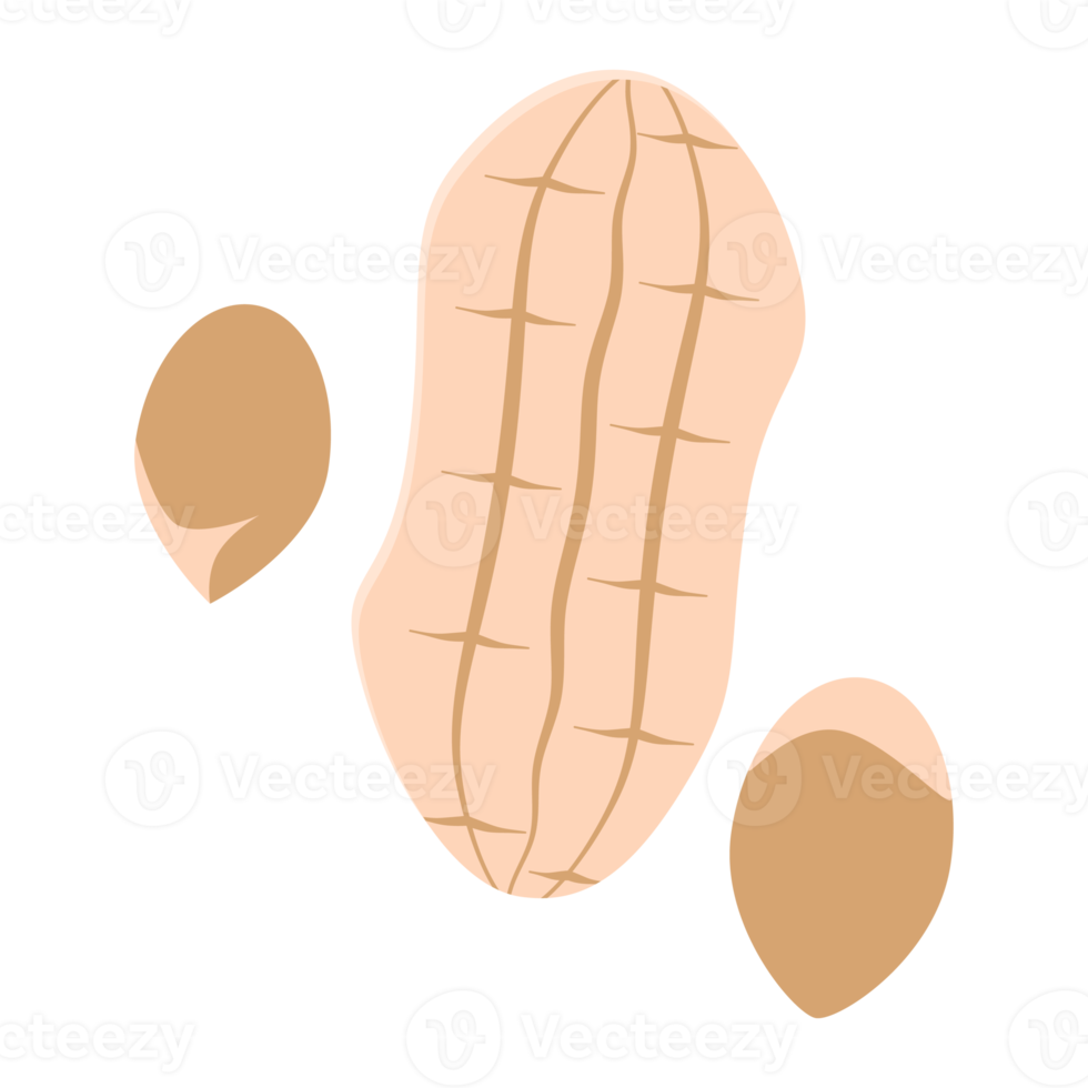 nuts peanut healthy food snacks collection set png