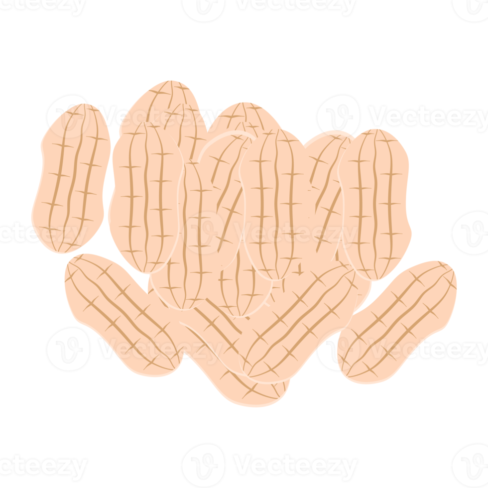 nuts peanut healthy food snacks collection set png