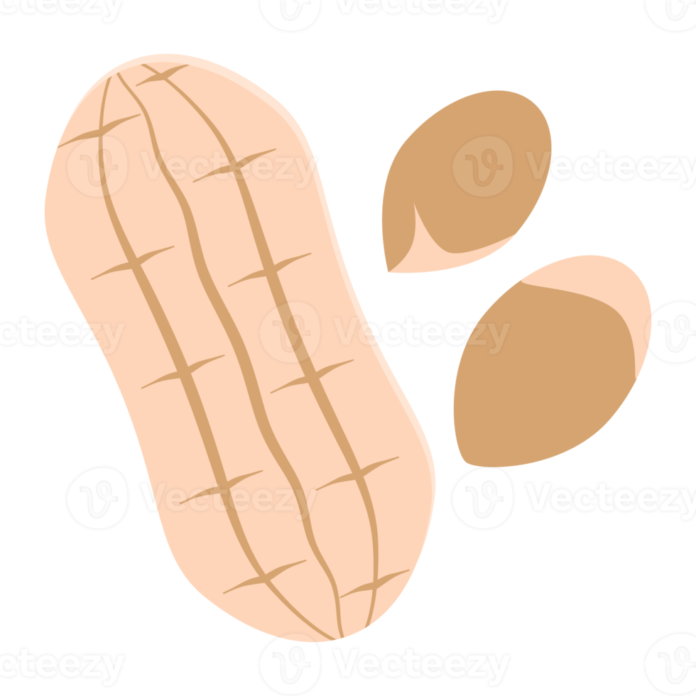 nuts peanut healthy food snacks collection set png
