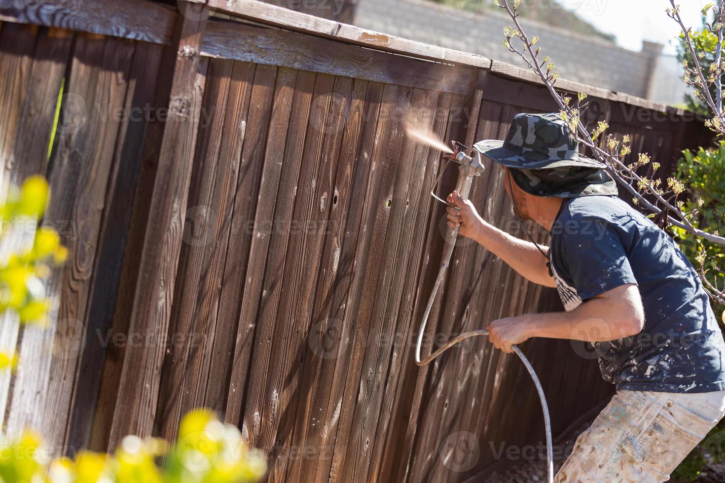 Professional Painter Spraying Yard Fence with Stain photo