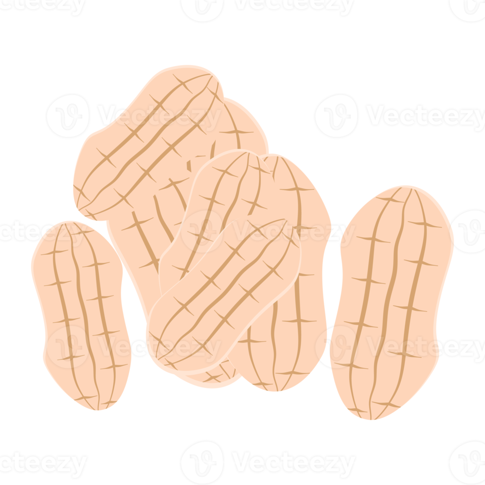 nuts peanut healthy food snacks collection set png
