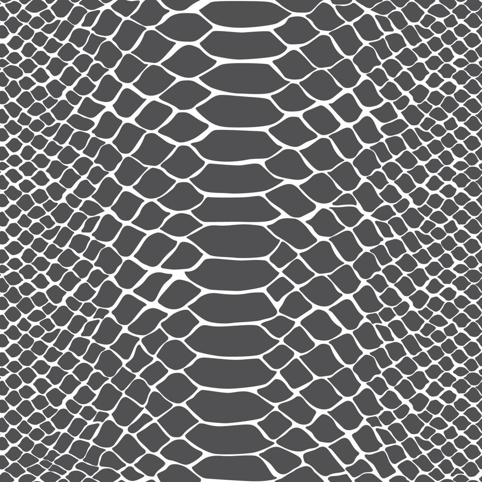 Black Snake Skin Pattern vector