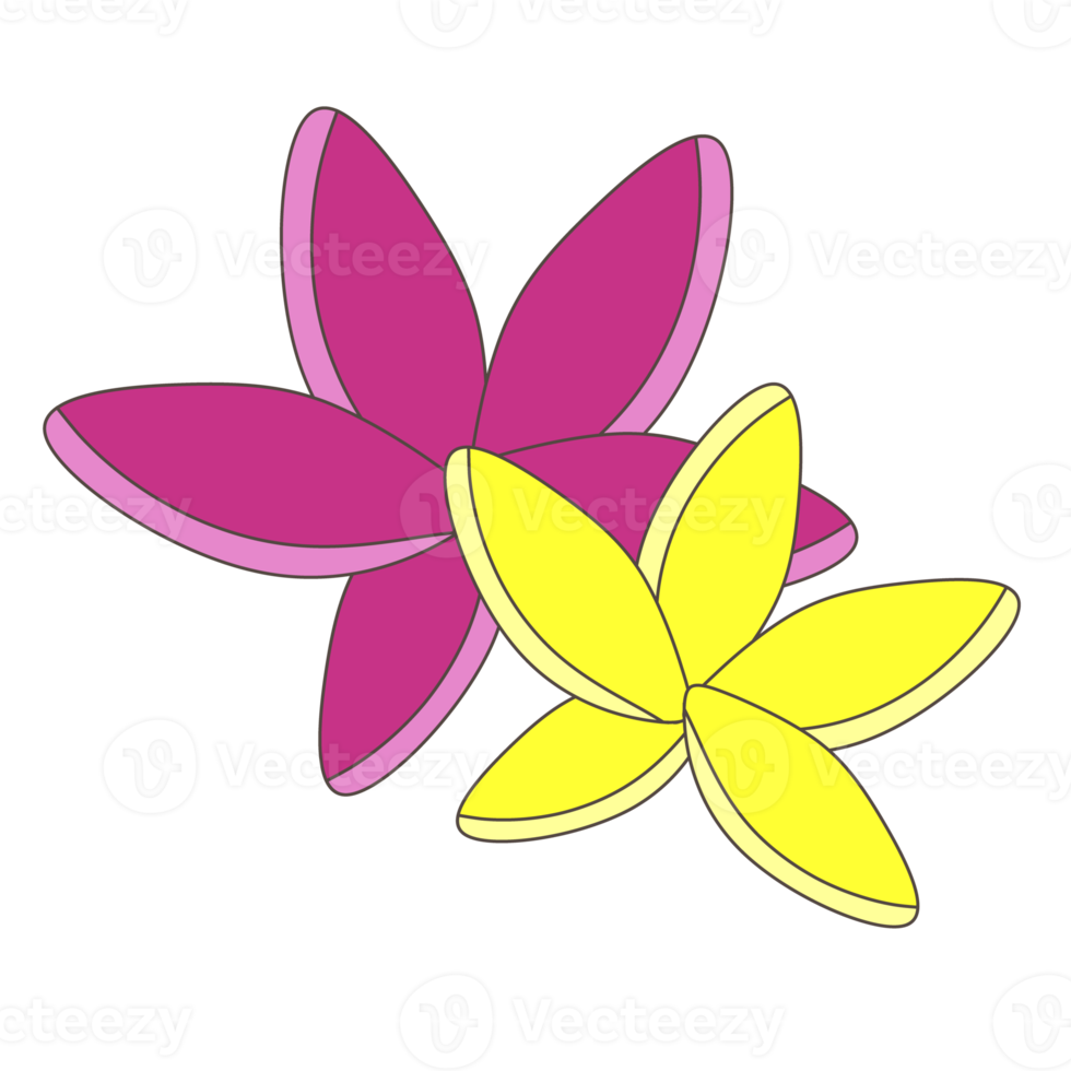 roze bloem plumeria, voor uw romantisch decoratie png