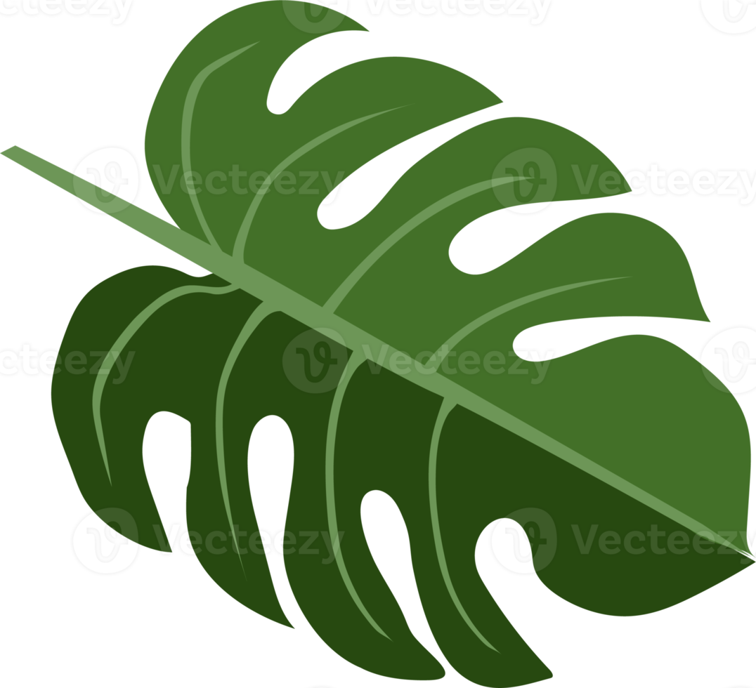 tropical leaves icon png