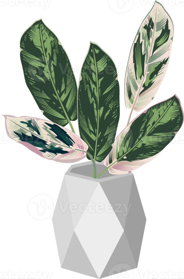 potted plants icon png